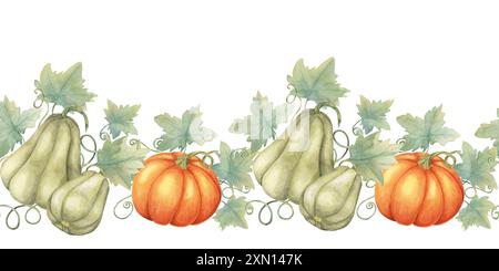 Squash seamless border clipart presents a mix of green, and orange gourds with watercolor leaves, ideal for creating harvest-themed designs. Perfect for stationery, scrapbooking, and fabric prints Stock Photo