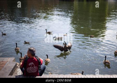 London, UK. 30th July, 2024. A man takes pictures of wildlife as the country is to experience a heatwave this week, with temperatures expected to reach as high as 32 degrees Celsius today. The UK Health Security Agency (UKHSA) has issued a yellow heat health warning across all areas of country, except the North East and North West. (Credit Image: © Christopher Walls/SOPA Images via ZUMA Press Wire) EDITORIAL USAGE ONLY! Not for Commercial USAGE! Stock Photo