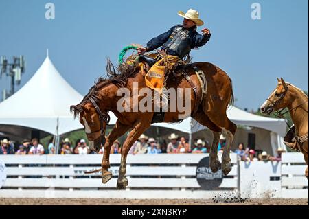 A cowboy attempts to hold on to a bucking horse for the minimum of ...