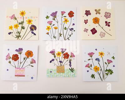 A display of colourful pressed summer flower cards on a white background. Stock Photo