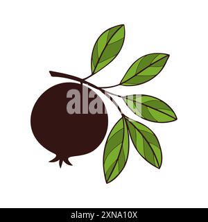 Pomegranate fruit on branch with leaves, stylized drawing, isolated on white background. Vector illustration Stock Vector