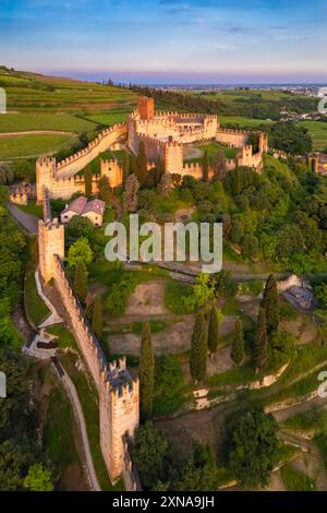 Aerial view of the Scaligero castle of Soave at sunset in summer. Verona district, Veneto, Italy, Europe. Stock Photo