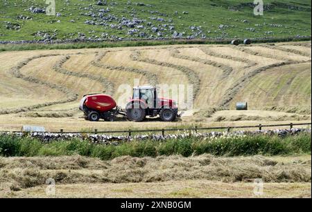 Haymaking near Malham, Yorkshire Dales National Park, UK. Tractor with baler making round bales from cut grass. Stock Photo