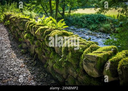 Moss covered stone wall. Stock Photo