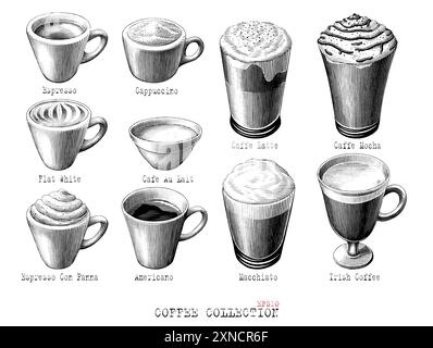 Antique engraving illustration of Coffee type collection black and white clip art isolated on white background Stock Vector