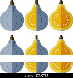 Set of Blue hubbard squash. Winter squash. Cucurbita maxima. Fruits and vegetables. Flat style. Isolated vector illustration. Stock Vector