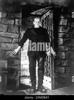 FRANKENSTEIN 1931 Universal Pictures film with Boris Karloff Stock ...
