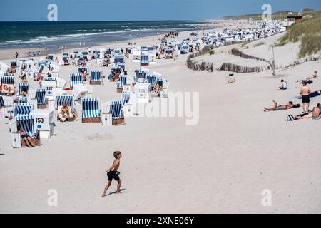 Strandleben am Abschnitt Rotes Kliff im Ort KampenTourismus auf der Nordseeinsel Sylt während der Hauptsaison im Sommer 2024, Kampen Schleswig-Holstein Deutschland Strand *** Beach life at the Red Cliff section in Kampen Tourism on the North Sea island of Sylt during the main season in summer 2024, Kampen Schleswig Holstein Germany Beach Stock Photo