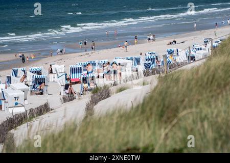 Strandleben am Abschnitt Rotes Kliff im Ort KampenTourismus auf der Nordseeinsel Sylt während der Hauptsaison im Sommer 2024, Kampen Schleswig-Holstein Deutschland Strand *** Beach life at the Red Cliff section in Kampen Tourism on the North Sea island of Sylt during the main season in summer 2024, Kampen Schleswig Holstein Germany Beach Stock Photo