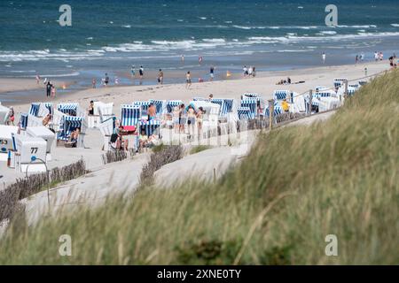 Strandleben am Abschnitt Rotes Kliff im Ort KampenTourismus auf der Nordseeinsel Sylt während der Hauptsaison im Sommer 2024, Kampen Schleswig-Holstein Deutschland Strand *** Beach life at the Red Cliff section in Kampen Tourism on the North Sea island of Sylt during the main season in summer 2024, Kampen Schleswig Holstein Germany Beach Stock Photo