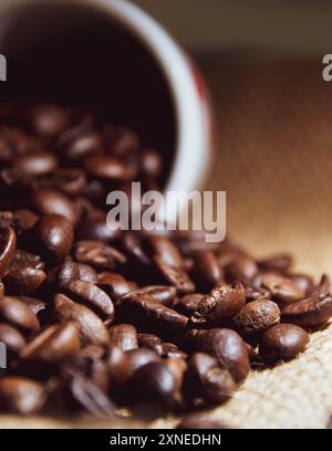 High-quality coffee bean photography showcasing rich textures and deep colors of freshly roasted beans. Ideal for advertising or promotional materials. Stock Photo