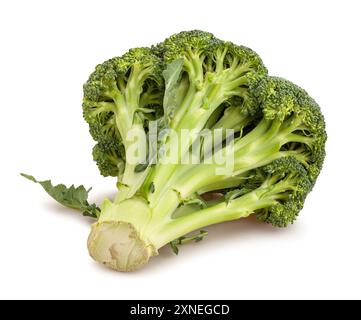 broccoli path isolated on white Stock Photo