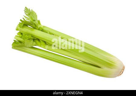 celery stalk path isolated on white Stock Photo
