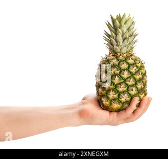 pineapple in hand path isolated on white Stock Photo