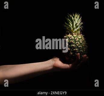 pineapple in hand on black background Stock Photo