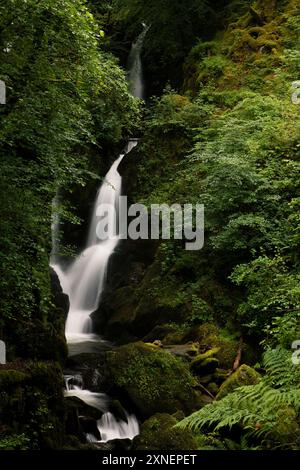 Stock Ghyll Force waterfall, in Stock Ghyll Beck near Ambleside in the English Lake District. Stock Photo