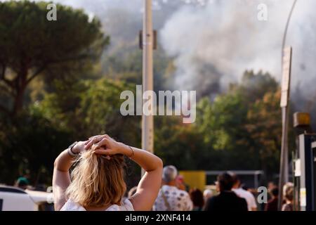 Roma, Italia. 31st July, 2024. Incendio nei pressi del tribunale nella zona Monte Mario a Roma, Italia - Cronaca - Mercoled&#xec; 31 Luglio 2024 (foto Cecilia Fabiano/LaPresse) Fire near the courthouse in the Monte Mario area of Rome, Italy - Chronicle - Wednesday, July 31, 2024 (photo Cecilia Fabiano/LaPresse) Credit: LaPresse/Alamy Live News Stock Photo