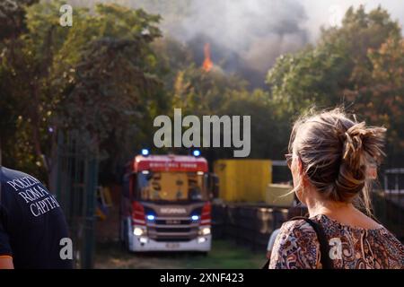 Roma, Italia. 31st July, 2024. Incendio nei pressi del tribunale nella zona Monte Mario a Roma, Italia - Cronaca - Mercoled&#xec; 31 Luglio 2024 (foto Cecilia Fabiano/LaPresse) Fire near the courthouse in the Monte Mario area of Rome, Italy - Chronicle - Wednesday, July 31, 2024 (photo Cecilia Fabiano/LaPresse) Credit: LaPresse/Alamy Live News Stock Photo