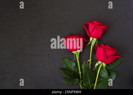 Valentines day card with red rose flowers on a dark background. Stock Photo
