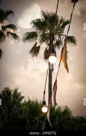 A breathtaking scene with bulb lights illuminated and pennants draped, a palm tree set against the backdrop, and the moon ascending in the sunset sky. Stock Photo