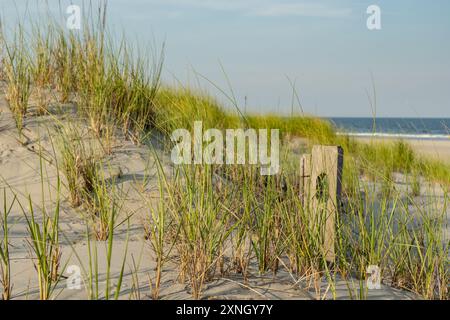 Beach and sand dunes at Stone Harbor  in early evening light. Stock Photo