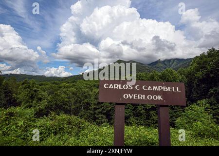 Great Smoky Mountains National Park, Tennessee, USA-July, 21, 2024: Scenic view from the Carlos C. Campbell Overlook with dramatic cloudscape. Stock Photo