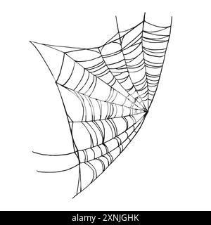spider web line, hand drawn traditional Halloween decorative element, black and white vector illustration of cobweb, insects wild life on white backgr Stock Vector