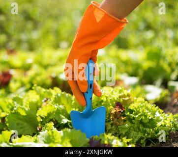 Woman in orange gloves working in the garden Stock Photo