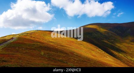 scenery with grassy slopes of borzhava ridge. scenic carpathian mountain landscape in dappled light. popular travel destination of transcarpathia in l Stock Photo
