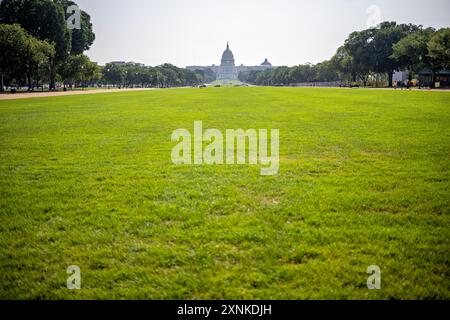 WASHINGTON, D.C., United States — The United States Capitol Building is seen in the distance across the grassy expanse of the National Mall in Washington, D.C. The iconic neoclassical dome of the Capitol rises above the surrounding trees. The foreground features the well-maintained lawn of the National Mall, a public park and national monument at the heart of the nation's capital. Stock Photo