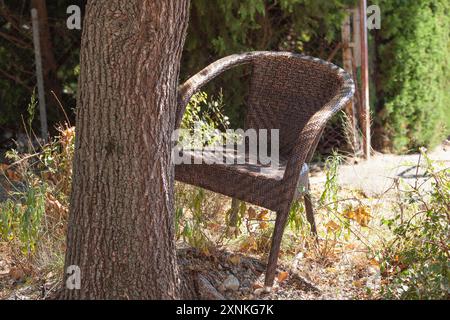 A brown wicker chair is burrowed into a tree. Environmental disaster. Plastic in nature. Non-degradable material. Horizontal illustration of a forest Stock Photo