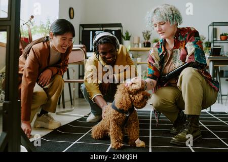 Group of diverse gen Z coworkers having fun spending break time with cute poodle dog in pet-friendly office of leading IT company Stock Photo