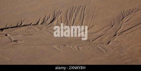 Natures sand patterns on beach after tide has gone out at Freshwater West beach Pembrokeshire, Wales, United Kingdom Stock Photo