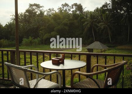 Wooden dock terrace with an outdoor table and chairs overlooking a small farmers shelter hut in the rice paddy field surrounded by coconut tree Stock Photo