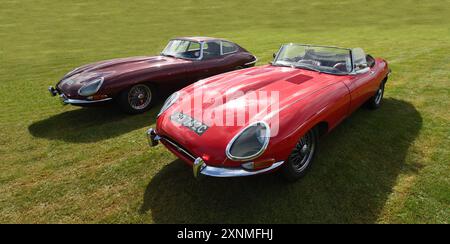 Two Classic E-type  Jaguar Cars parked on grass Stock Photo