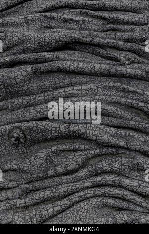 Closeup  pahoehoe lava flow showing  cracks texture  solidified rock Stock Photo