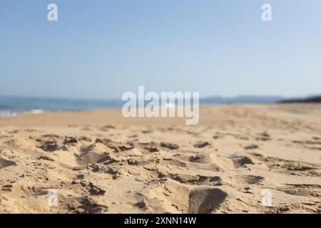Close-Up of Sandy Beach with Sea View Stock Photo
