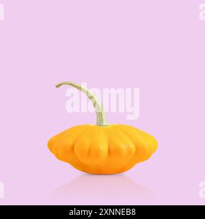 Orange bush pumpkins on pink background for Thanksgiving or Halloween. Stack of vegetables set. Halloween, design, autumn. Nature concept Stock Photo
