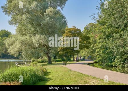 Verulam Park in summer sunshine Stock Photo