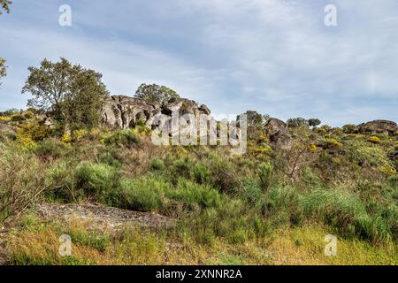 Driving through Parque Natural da Serra de Sao Mamede. Alentejo in Portugal. Cork trees natural resources Landscape. Stock Photo