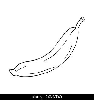 Banana in line art style. One line continuous drawing. Vector hand drawn illustration. Single continuous Line for logo or icon Stock Vector