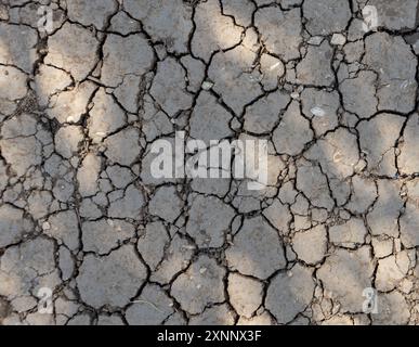 Cracked Dry Earth Texture in Sunlight Stock Photo