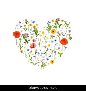 Heart made of meadow flowers on white gradient background Stock Photo