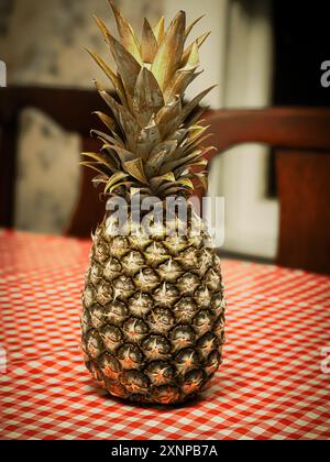 Whole pineapple, with leaves, on red and white oilcloth tablecloth, wooden chairs behind in a farmhouse kitchen. Selective focus on fruit, with a slig Stock Photo