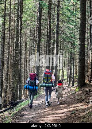 Back view of family of three, with two adults carrying large backpacks and child in red hooded jacket, walks along dirt trail through dense forest. Tall, straight trees create serene atmosphere. Stock Photo