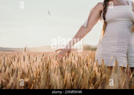 Woman's Hand Reaching Through a Golden Wheat Field Stock Photo - Alamy