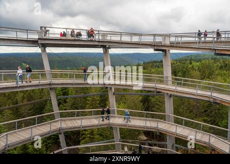 The tunnel slide and Viewing Platform at the end of the Elevated Hiking Path of Baumwipfelpfad Schwarzwald, in the Black Forest, Germany Stock Photo