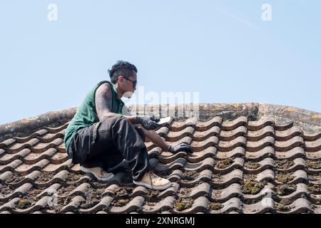 Man clearing moss from a tiled roof. Stock Photo