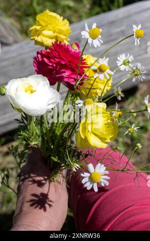 Hand holding a colorful bouquet of flowers with shadows cast Stock Photo