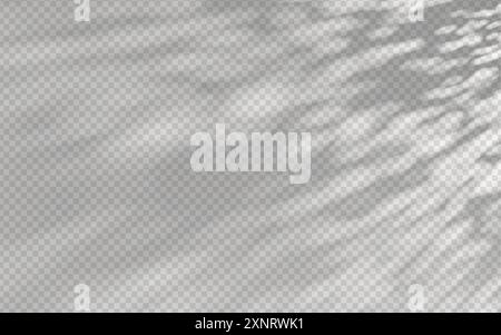 Abstract shadow overlay from foliage on a transparent background. Stock Vector